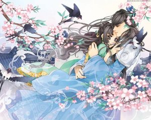 大象传媒官网首页